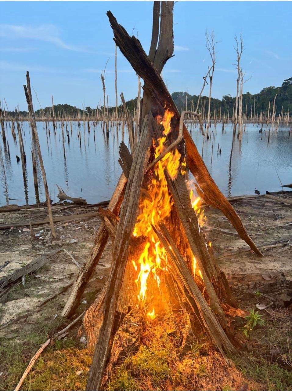 Grand feu de bois dressé au bord du lac de Petit-Saut