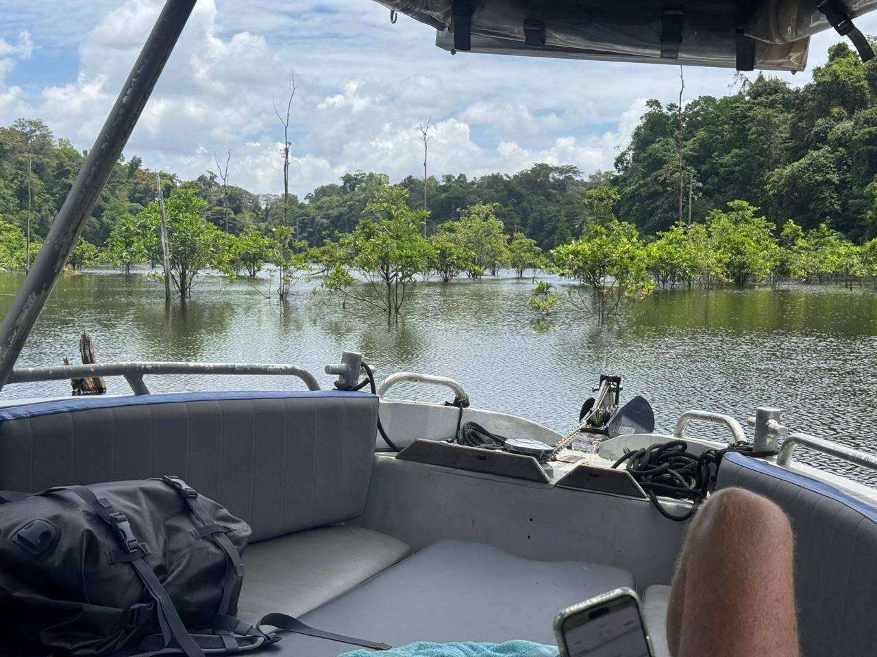 Forêt inondée du lac de Petit-Saut vue depuis le poste de pilotage du LIBERTAAA