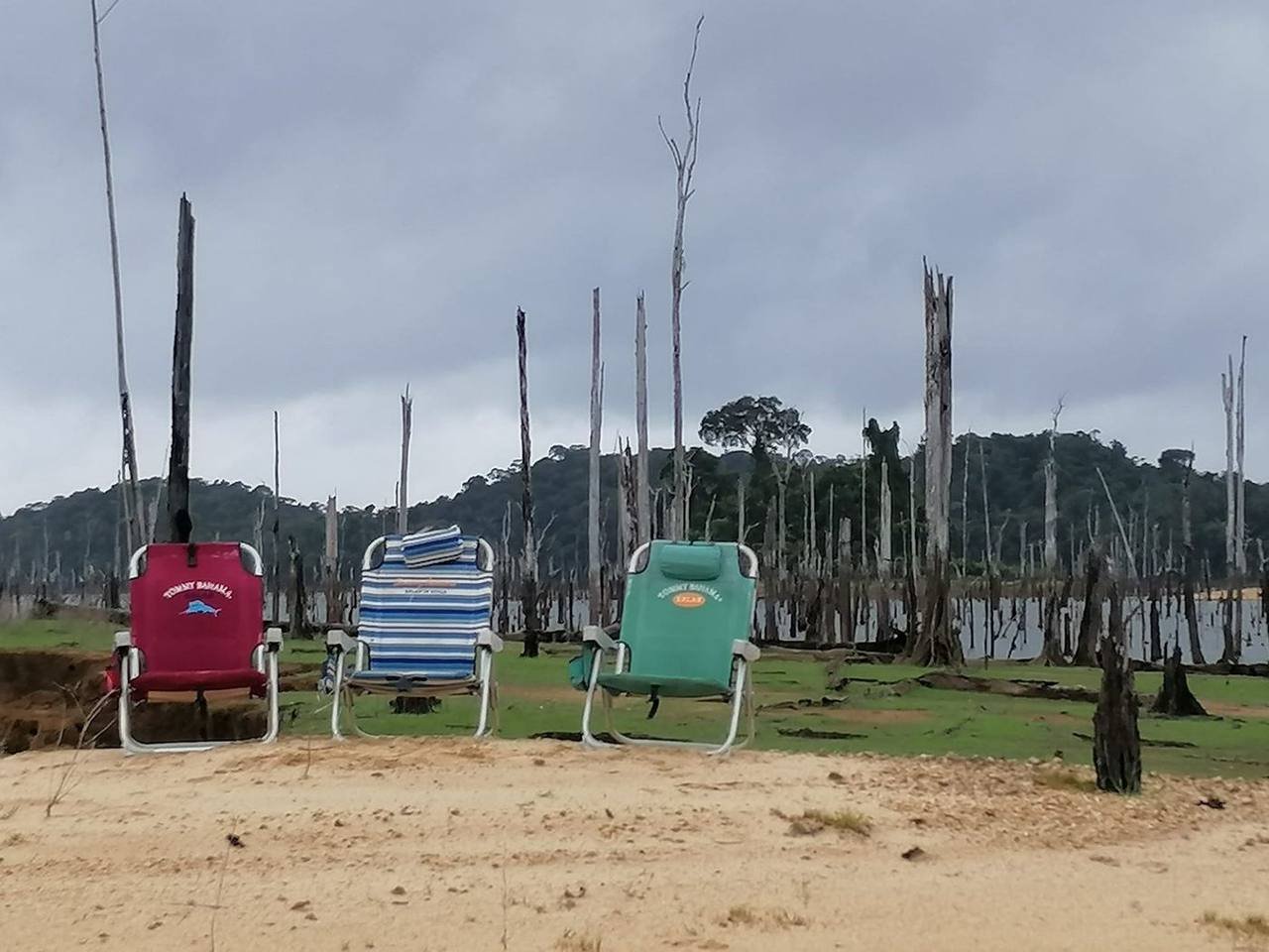 Arbres morts émergeant des eaux du lac de Petit-Saut, avec trois chaises installées sur la berge